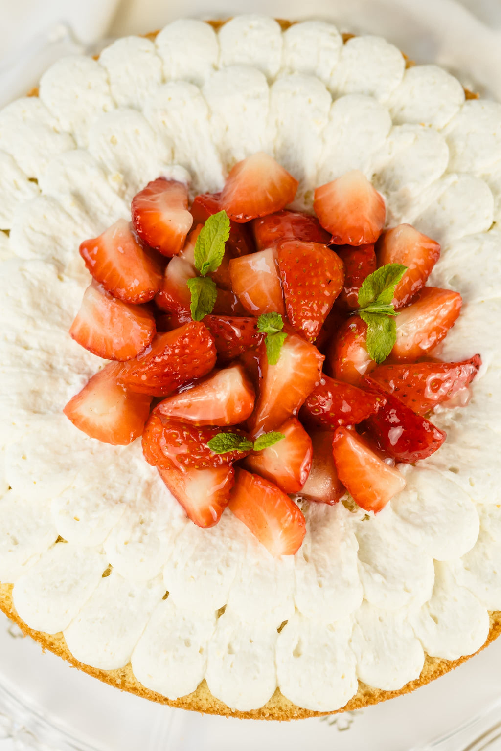 Fresas con Nata - Tartamen