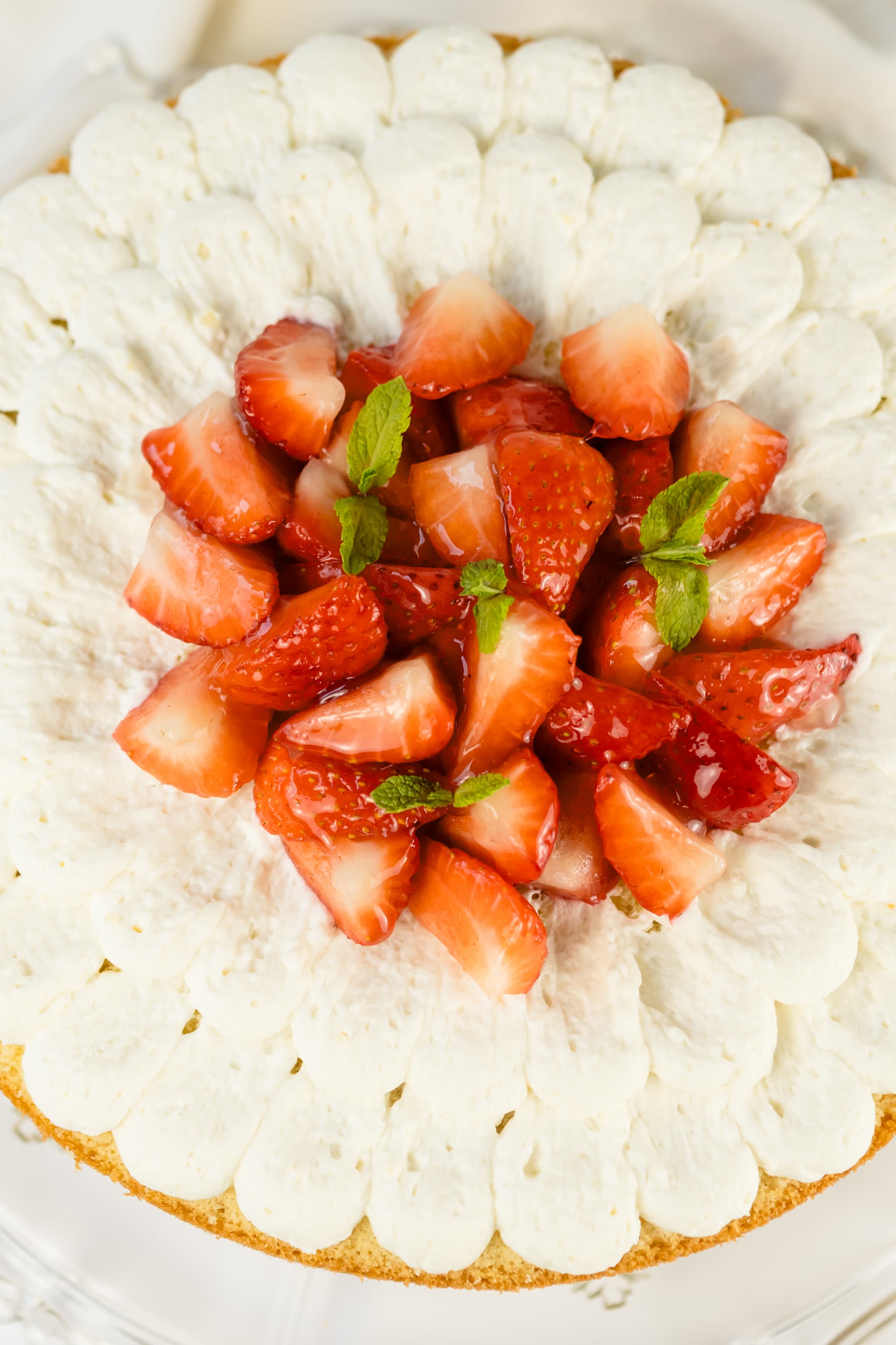 Fresas con Nata - Tartamen